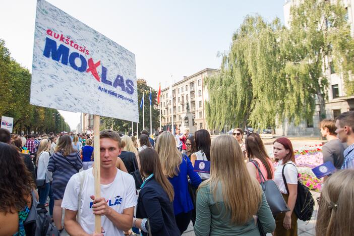 Protesto akcija Laisvės alėjoje