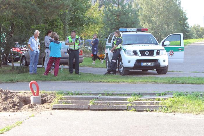 Nuo skardžio nulėkė automobilis