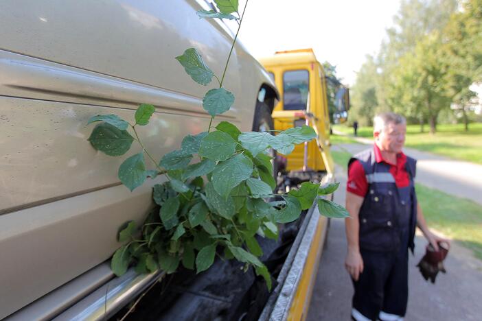 Nuo skardžio nulėkė automobilis