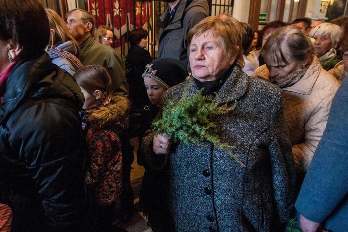 Verbų sekmadienis Kaune