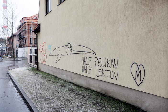 Grafitininkai apipaišė namų sienas