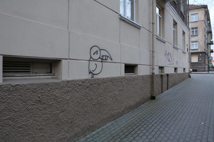 Grafitininkai apipaišė namų sienas