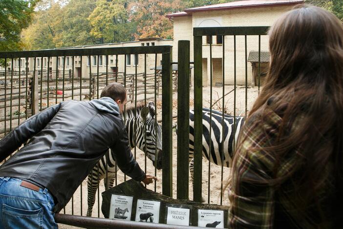 Šeštadienis zoologijos sode