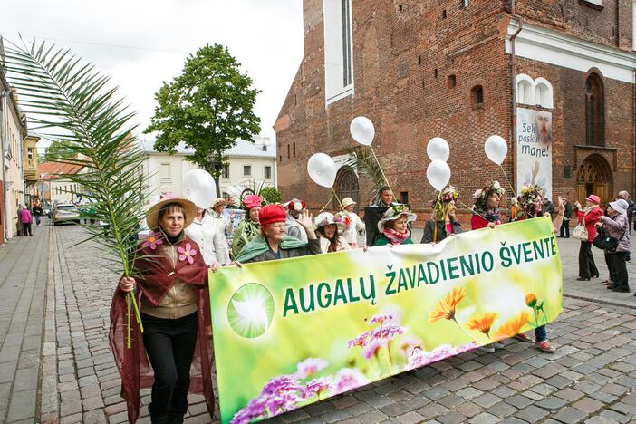 Augalų žavadienio eisena