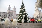 Kauno kalėdinės eglutės pristatymas Kauno kalėdinės eglutės pristatymas
