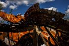 87-oji karo Ukrainoje diena 87-oji karo Ukrainoje diena