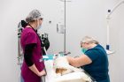 Vilniuje atidarytas didžiausias gyvūnų gydymo kompleksas Vilniuje atidarytas didžiausias gyvūnų gydymo kompleksas
