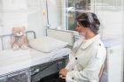 Pristatyta akcija „Vienos kėdės istorija“ Pristatyta akcija „Vienos kėdės istorija“