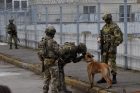 88-oji karo Ukrainoje diena 88-oji karo Ukrainoje diena