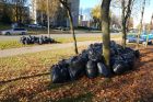 Kauniečiai ne vietoje palieka šiukšles ir juodų maišų kalnus Kauniečiai ne vietoje palieka šiukšles ir juodų maišų kalnus