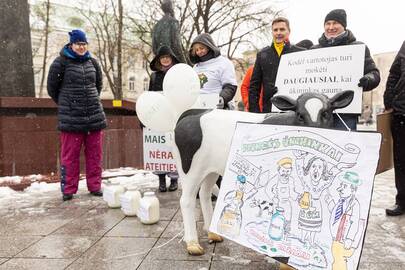 Pienininkų protestas prie Vyriausybės.