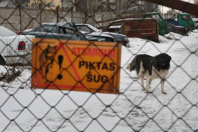 Konfiskuotų automobilių aikštelė.