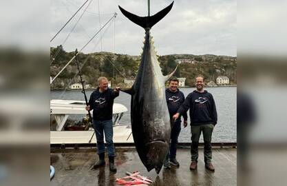 Laimikis: A. Asheimo (centre) su draugais B. Furre ir G. Age ištrauktas didžiausias Norvegijos tunas svėrė 448,5 kilogramo.