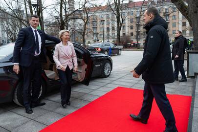 Ursula von der Leyen susitiko su Gintautu Palucku