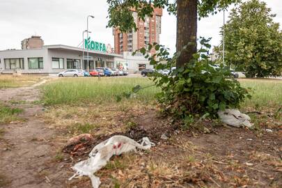 Lemtis: provokacijai pasidavusi žudikų auka pateko į spąstus šiame Kalniečių parkelyje.