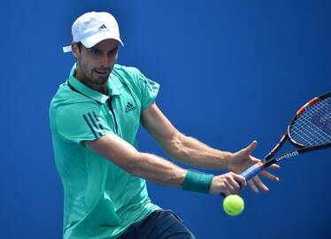 Ernests Gulbis