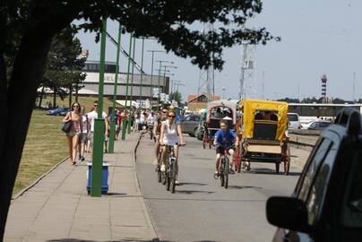 Situacija: kelyje, vedančiame nuo Senosios Perkėlos iki Lietuvos jūrų muziejaus, vasarą neretai įsivyrauja sumaištis ir chaosas.