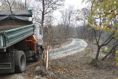 Numatyta: iki gruodžio bus baigti dviračių tako šalia Botanikos sodo tiesimo darbai.