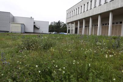 Neseniai surengto patikrinimo metu paaiškėjo, kad kai kurie prekybos centrai pamiršta jiems priklausančiuose sklypuose nupjauti žolę ar surinkti šiukšles.