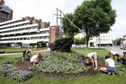 Sezonas: įsibėgėjanti vasara keičia miesto gėlynų spalvas – vietoj pavasarinių gėlių netrukus atsiras vienmečių augalų.