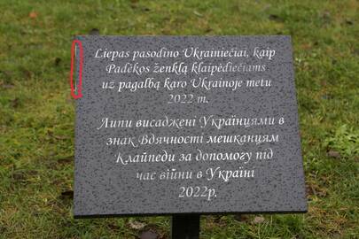 Įamžino: Sąjūdžio parke prie ukrainiečių Klaipėdai dovanotų liepų atminimo lenta neilgai buvo kaip nauja – kažkas jau spėjo ją apdaužyti.