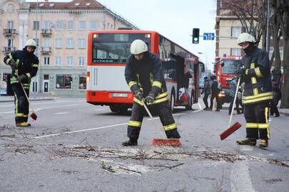 Padariniai: gerokai įsismarkavęs ir dėl to su Anatolijumi jau lyginamas Feliksas visą savaitgalį ugniagesiams gelbėtojams kėlė daugybę rūpesčių. Prie Muzikinio teatro jiems teko nupjauti medį, kuris bet kurią akimirką galėjo nulūžti.