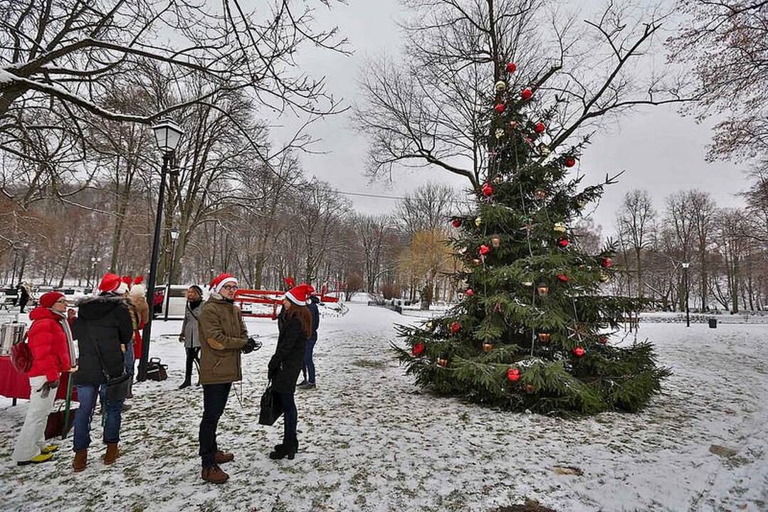 Vilniečiams kalėdinę nuotaiką Bernardinų sode kuria puošni eglė