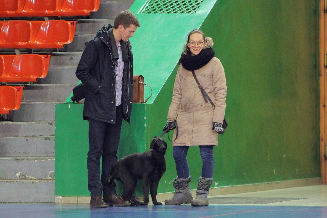 Kauno sporto halėje komandos susikovė dėl Lietuvos sporto universiteto rektoriaus taurės.