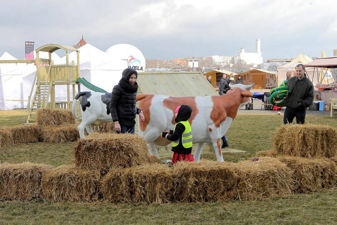 „Agrobalt“ paroda Kaune.