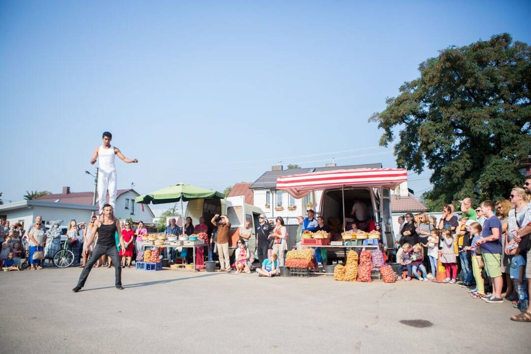 Turgaus teatro festivalis