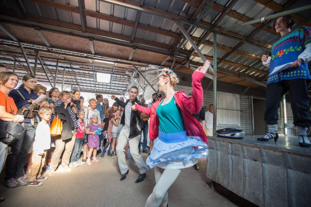 Turgaus teatro festivalis