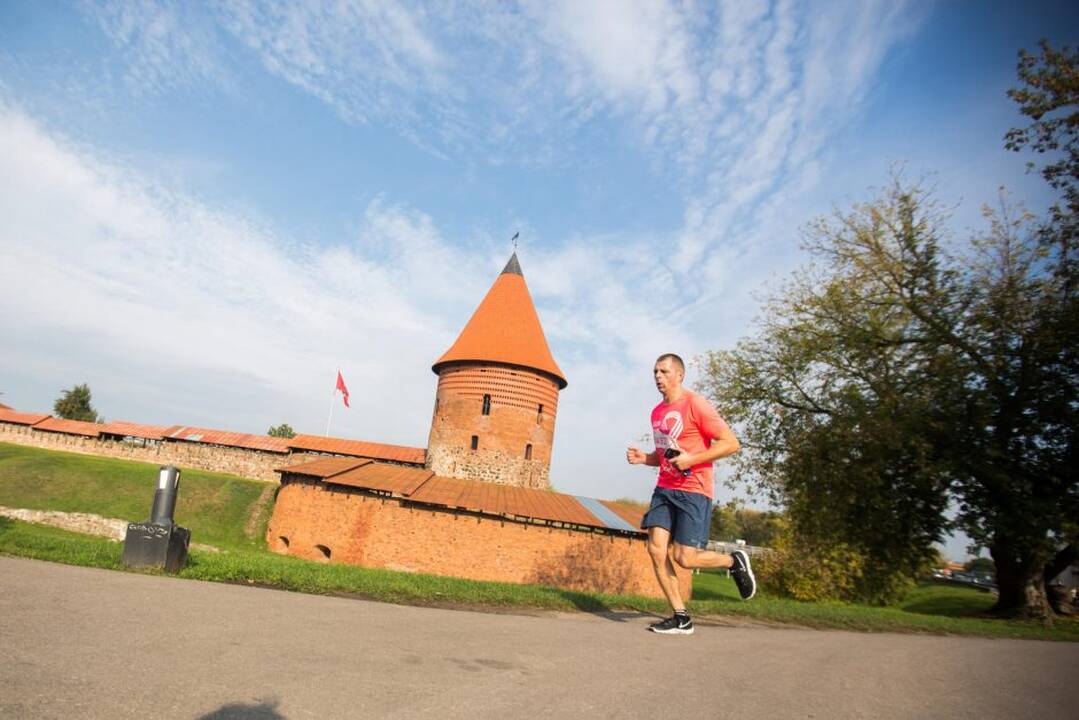Pink Run