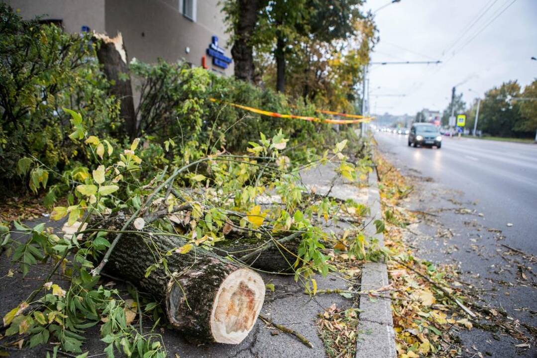 Vėtros padariniai