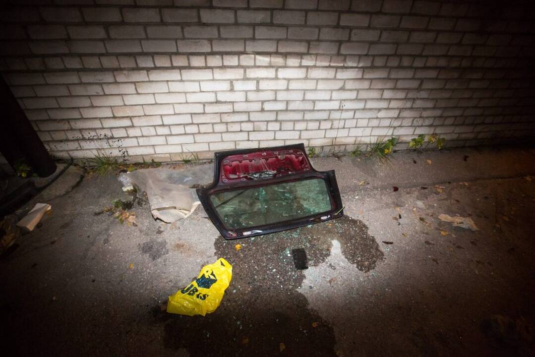 Vandalizmai