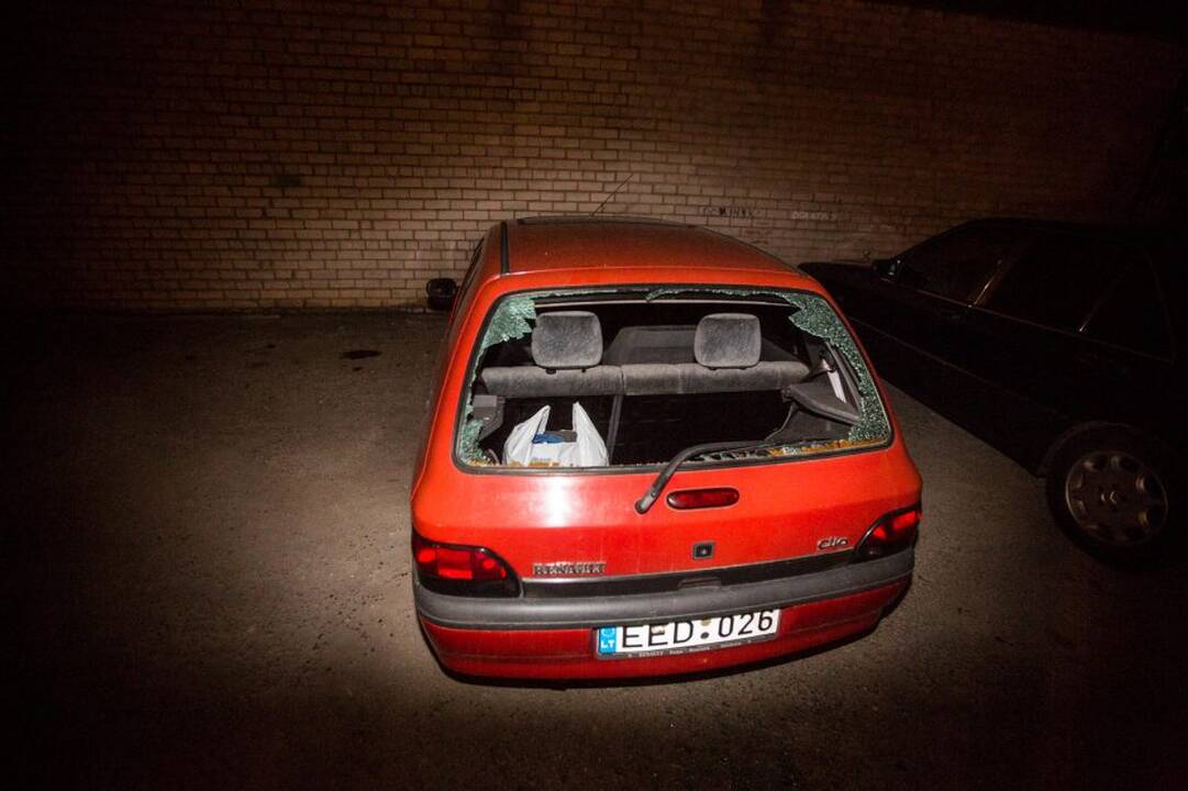 Vandalizmai