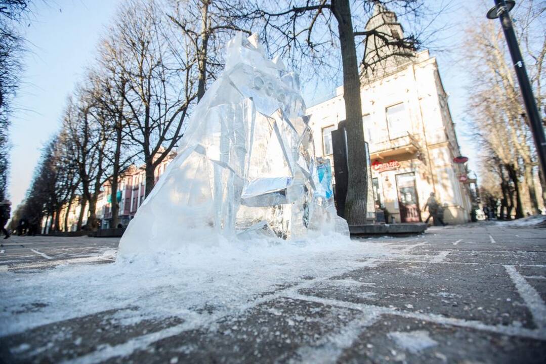 Suniokota skulptūra