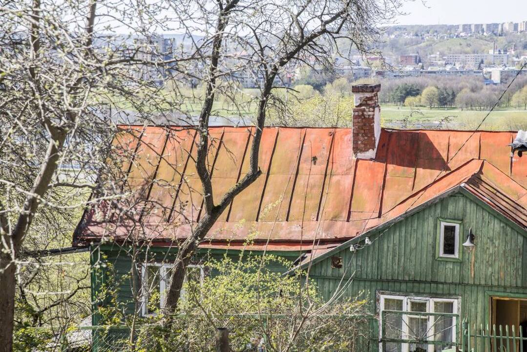 Pelėdų kalnas