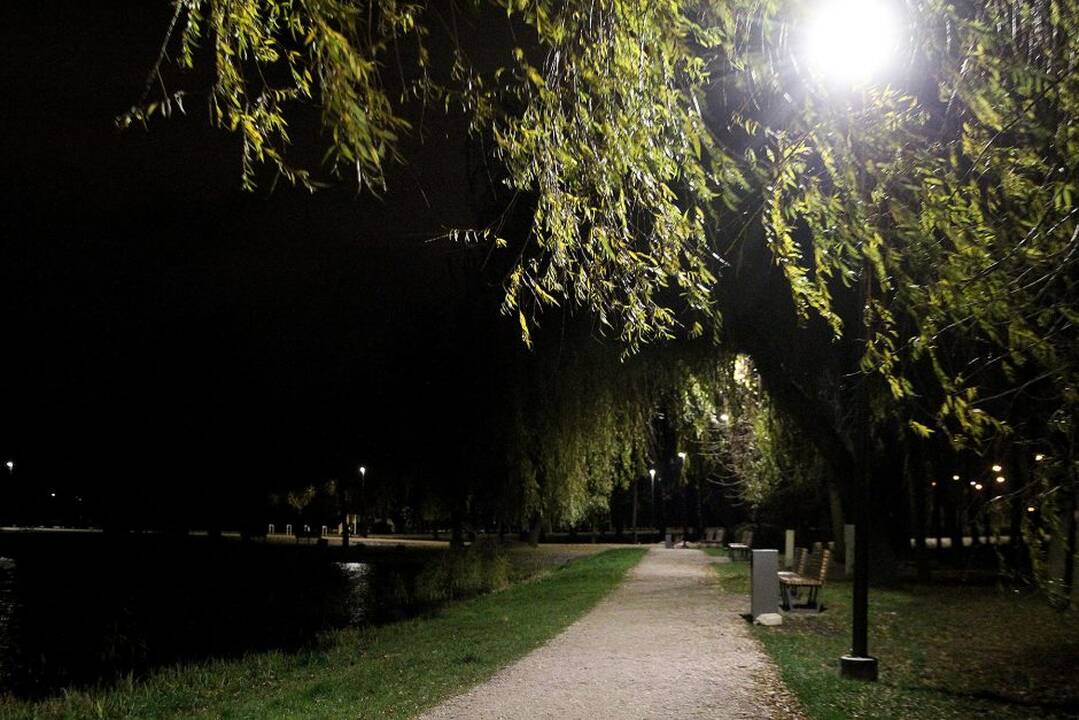 Kalniečių parke – naujas LED apšvietimas