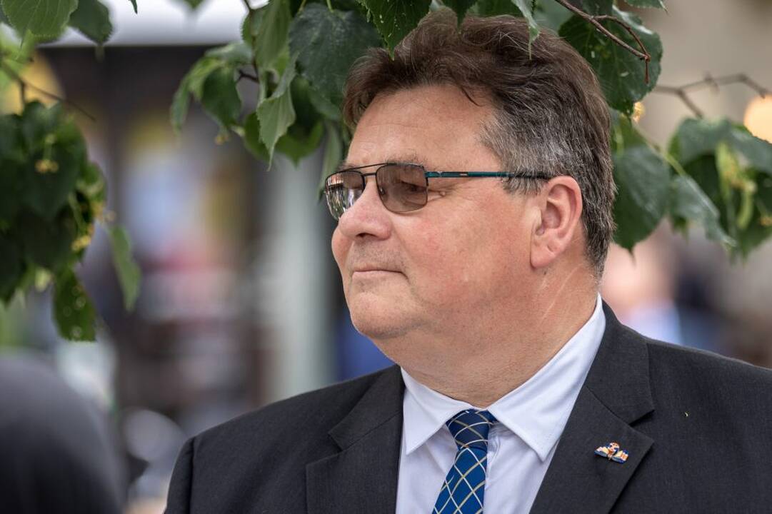 Ka­ra­lius Kau­ne pa­ger­bė sa­vo tau­tie­tį