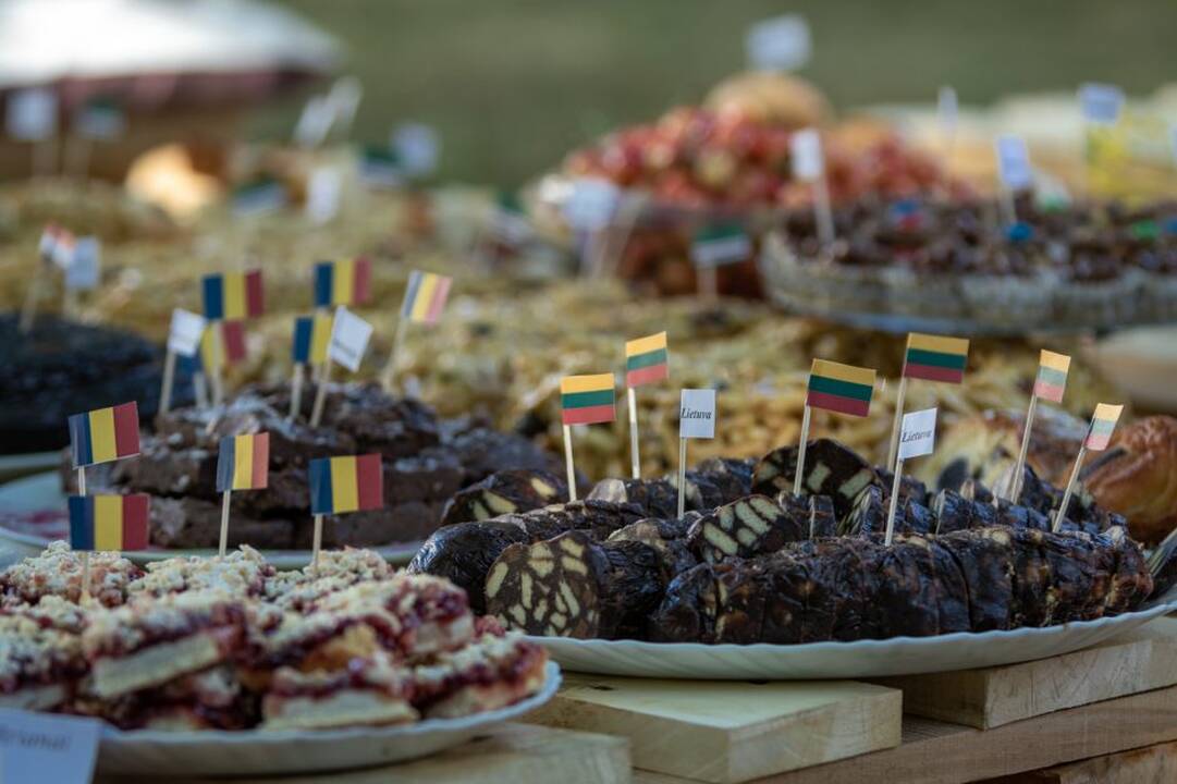 Piknikas Prezidentūros kiemelyje