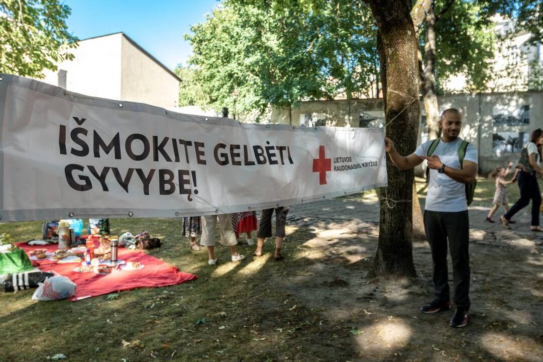 Piknikas Prezidentūros kiemelyje