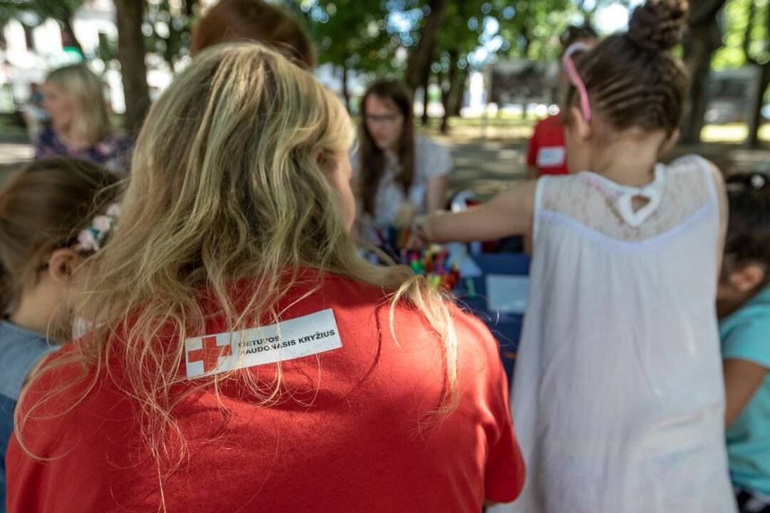 Piknikas Prezidentūros kiemelyje