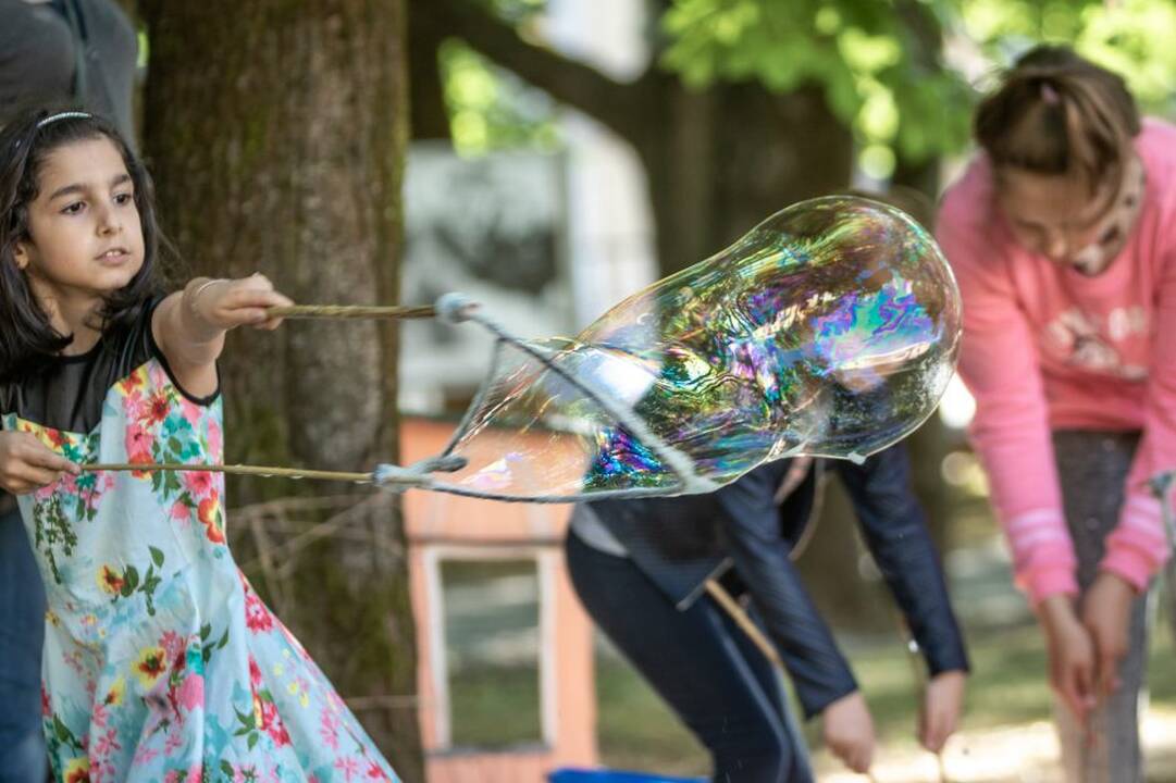 Piknikas Prezidentūros kiemelyje