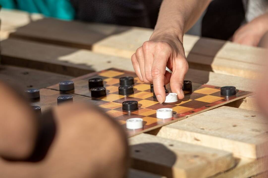Piknikas Prezidentūros kiemelyje