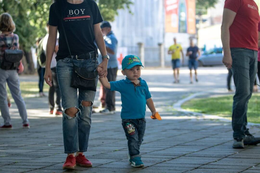 Piknikas Prezidentūros kiemelyje