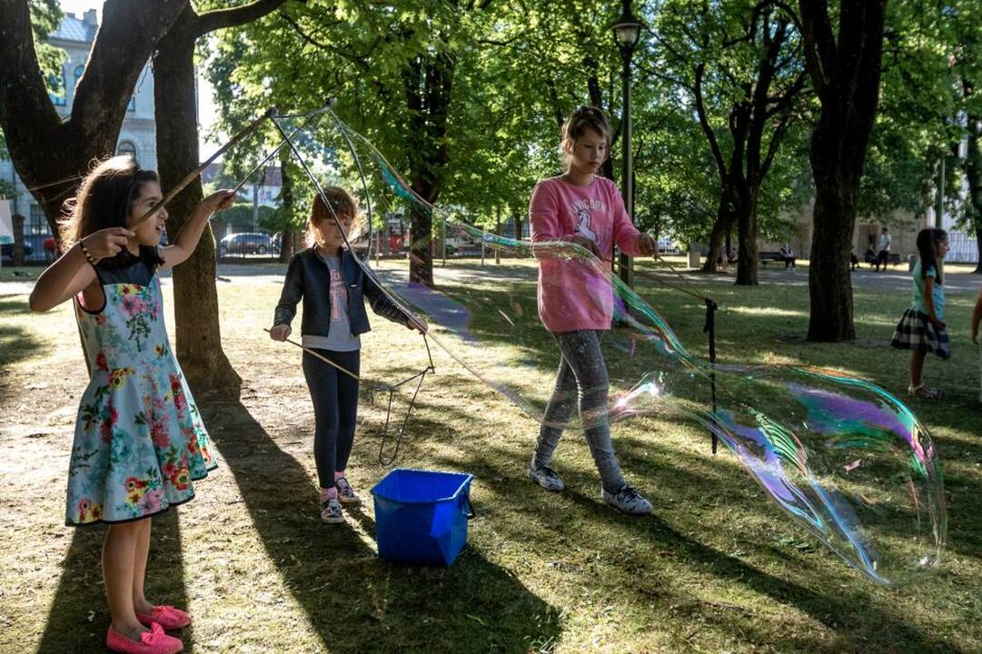 Piknikas Prezidentūros kiemelyje