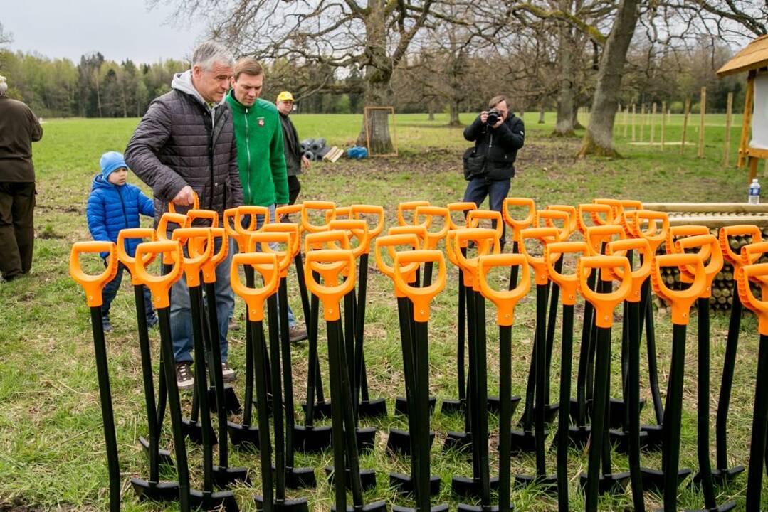 Ąžuolų klonų sodinimo akcija Rumšiškėse