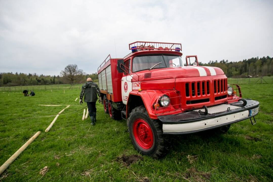 Ąžuolų klonų sodinimo akcija Rumšiškėse