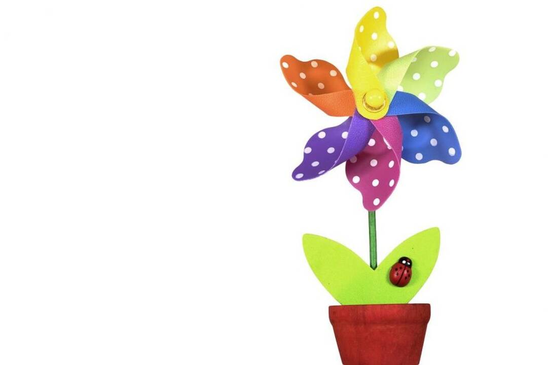 Idėjos, kaip detalėmis sukurti žydinčius namus