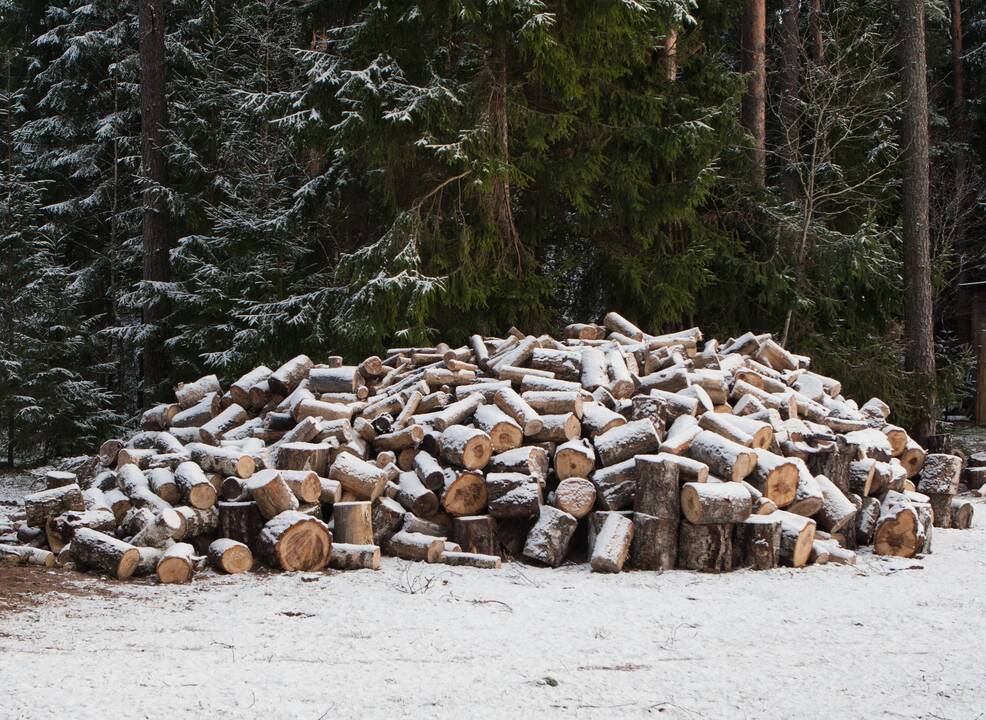 Papildomas mokestis gali smogti miško savininkams